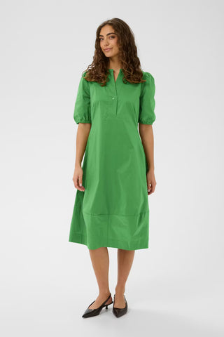 Antionette Placket Dress