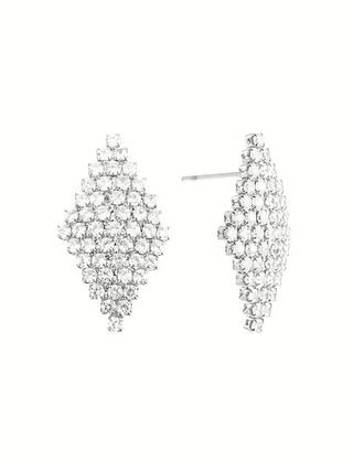 Pointy small crystal earring steel