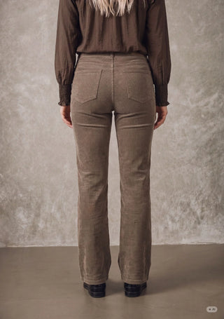 Barbel New Pant
