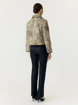 Cheemi Leather Jacket