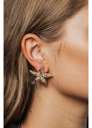 Starfish Earrings