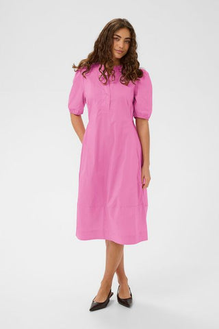 Antionette Placket Dress